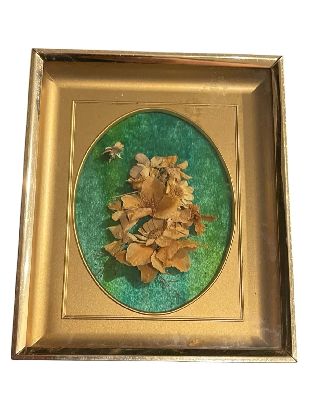 Vintage 1970s Pressed Dried Flower Wall Art Gold Frame Green Velvet Background